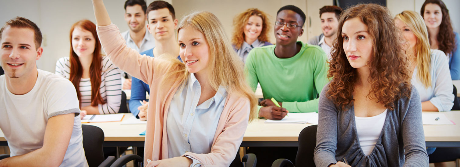 Hollanda’da Uluslararası Öğrenciler İçin Rehber