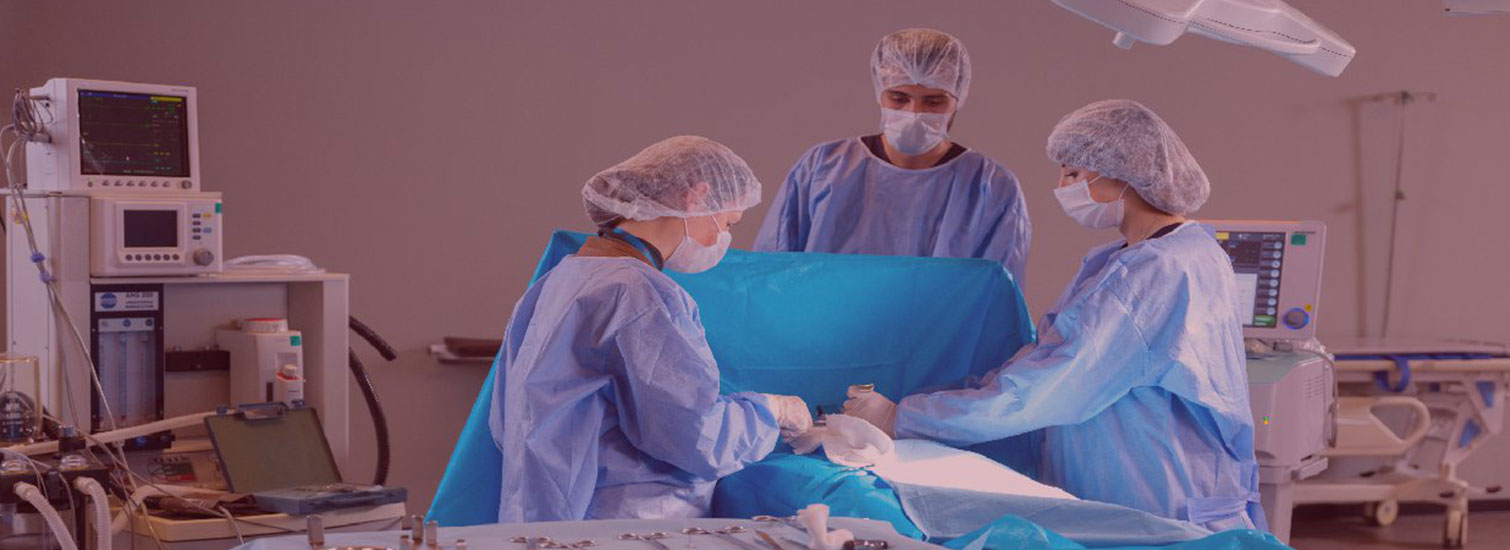 İspanya’da Tıp Eğitimi Başvuru Şartları İspanya’da Tıp Eğitimi Başvuru Şartları