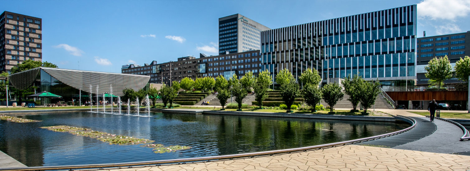 Rotterdam’da Üniversite Eğitimi Avantajları