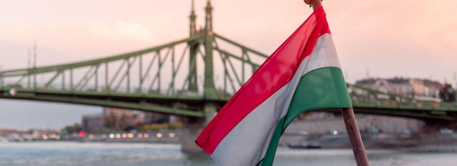 Macaristan’da Üniversite Eğitimi Sonrası Kariyer Fırsatları Macaristan’da Üniversite Eğitimi Sonrası Kariyer Fırsatları