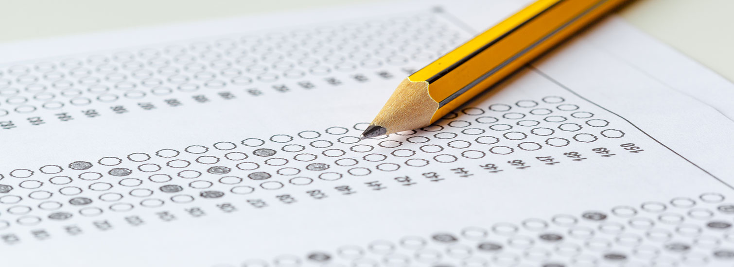 Hollanda’da Üniversite İçin YKS ve GPA Şartları