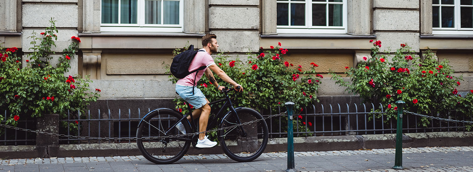 Hollanda’da Bisiklet Hollanda'da Bisiklet