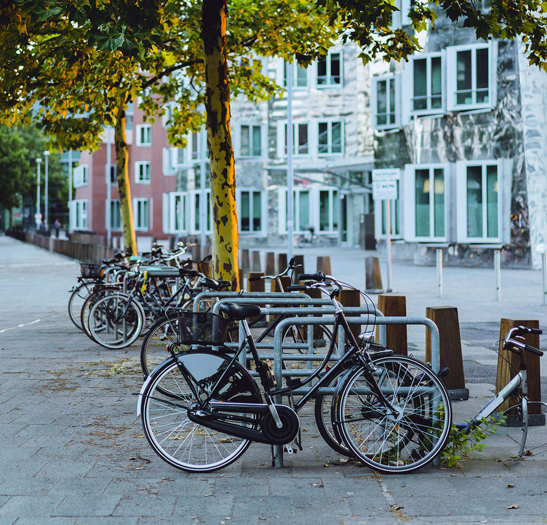 Hollanda'da Bisiklet